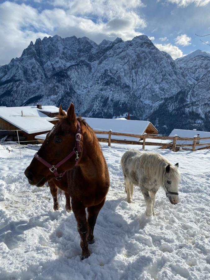 Southern Stables Ranch Bannberg Dış mekan fotoğraf